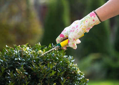 Gardening service terms and conditions introduction