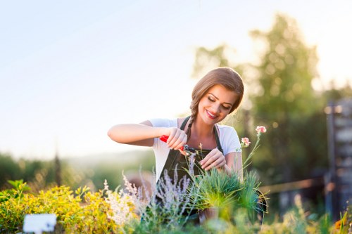 Green waste being separated for recycling in Hainault garden maintenance