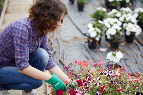 Accessibility request support for Gardeners Hainault