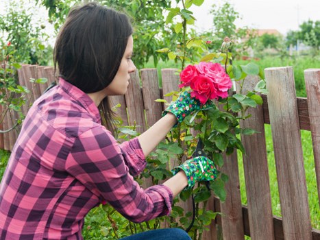 Professional complaints management for gardening services