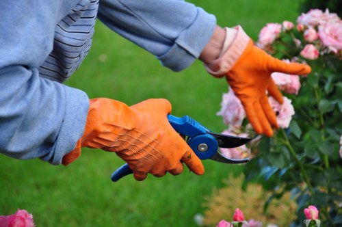 Gardener trimming tall hedge near a home in Hainault
