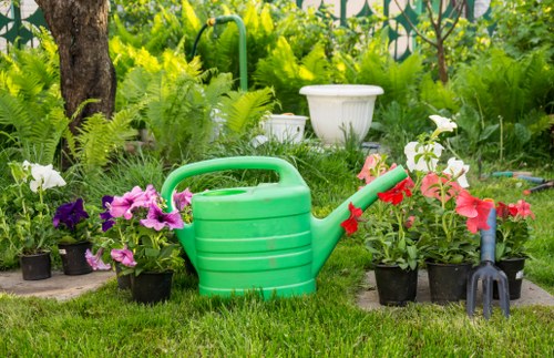 Healthy green lawn maintained with regular mowing in Hainault