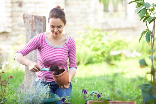 Professional garden care in Hainault during autumn maintenance