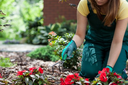 Safe and insured gardening service in Hainault with professional equipment