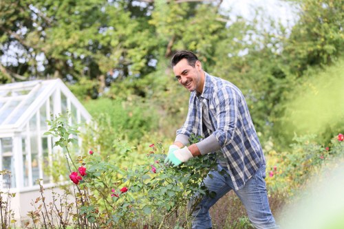 Professional lawn and garden upkeep for properties in Hainault