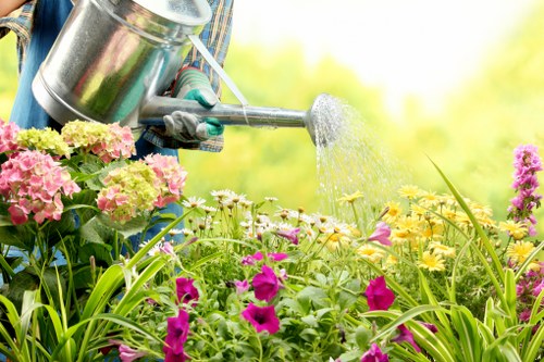 Professional landscape gardening features in a Hainault backyard