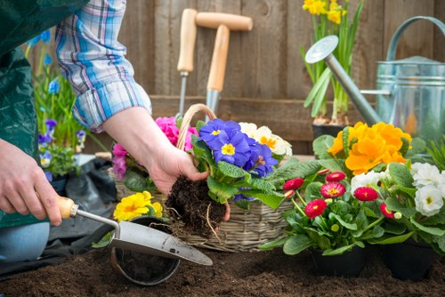 Modern garden layout and planting for a Hainault home