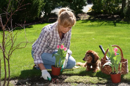Seasonal lawn maintenance and soil care in Hainault