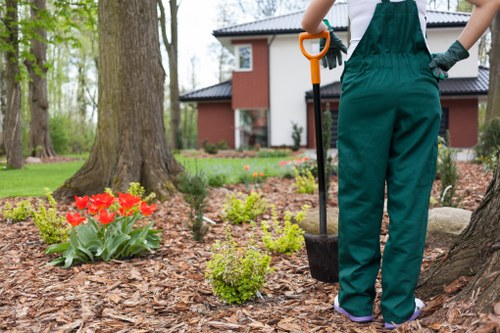 Well-maintained hedge line improving a garden in Hainault