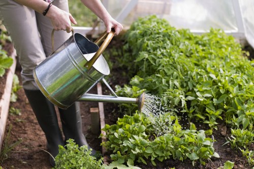 Modern garden design and paving in Hainault