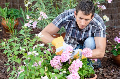 Local garden specialists maintaining seasonal plants in Hainault