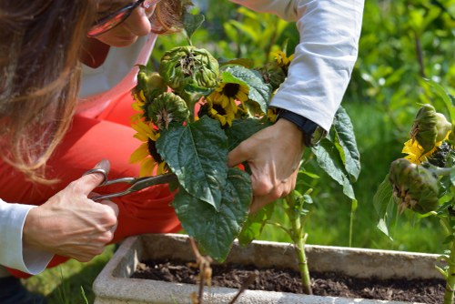 Payment and cancellation terms for gardening work