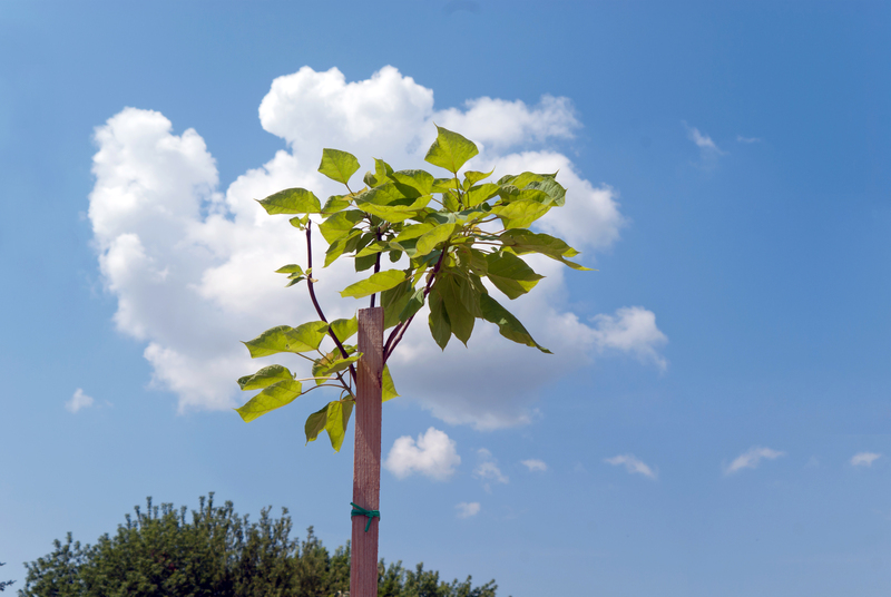 irrigation system Garden